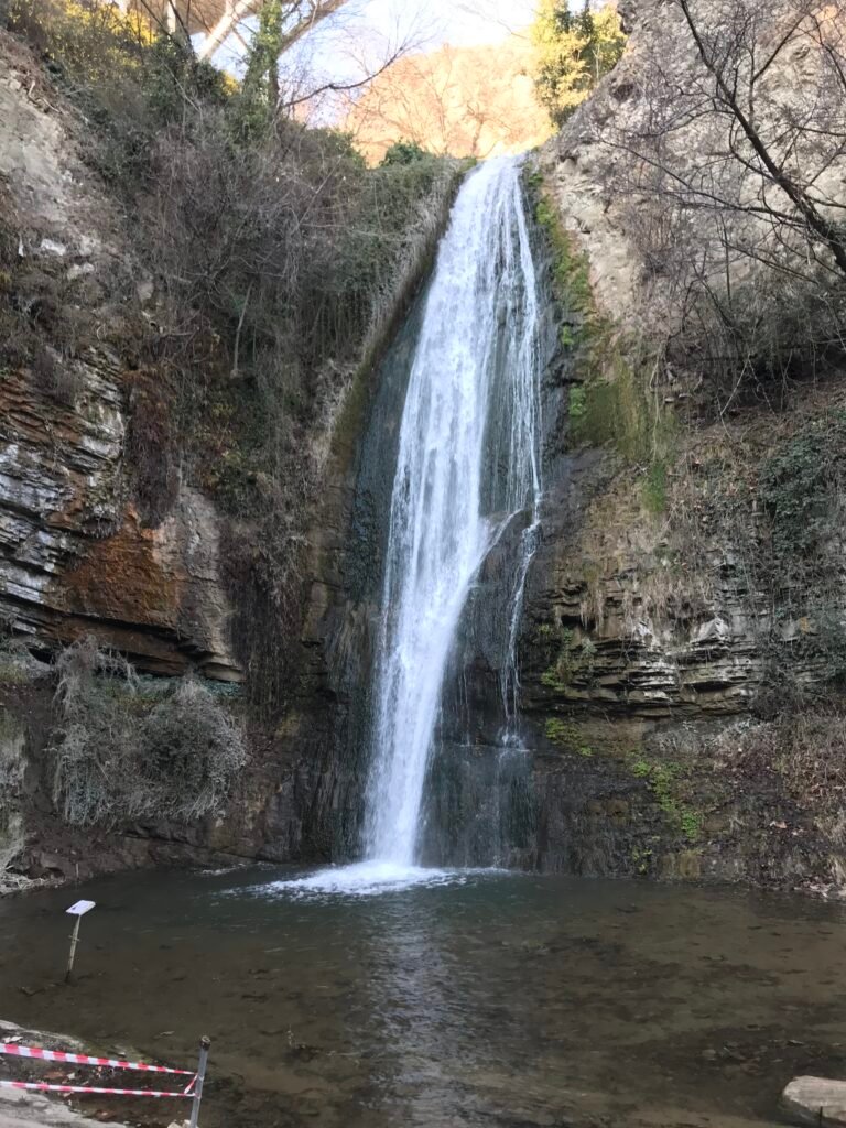 botanicle garden waterfall